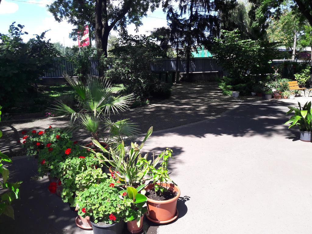Orchidea Apartman Eger Bagian luar foto